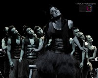 /album/marco-gaete/compania-nacional-de-danza-carnaval-de-los-animales-jpg/